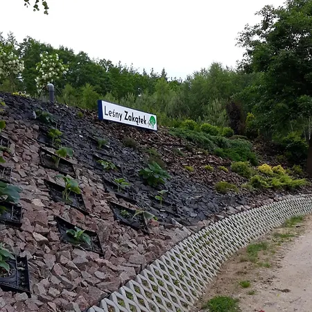 Lesny Zakatek-domek Sosna Nyaraló