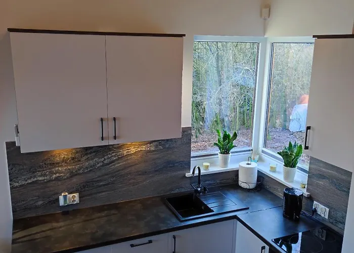 Lesny Zakatek-domek Sosna